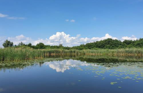 Lütt Hütt - Photo 8