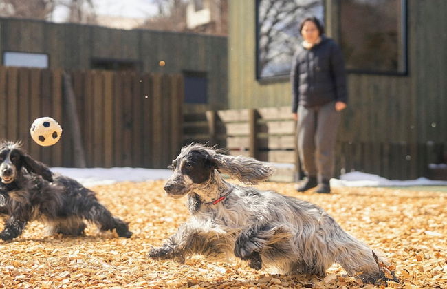 YADOKARI VILLAGE KITAKARUIZAWA - Foto 74