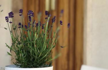 La Casa di Zia Rita - Foto 18