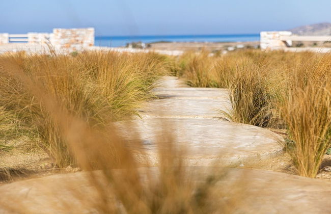 Akrotiri Estate Naxos - Private Hillside Estate - Foto 15