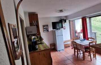 Joli F2 de 2 à 8 places, 300m centre station ski - Foto 16