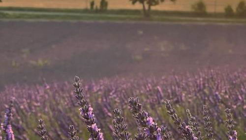 Zofia appartements - Appartement avec cour privée #1 - Foto 2