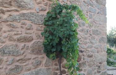 Tapada das Carvalhas - Foto 74