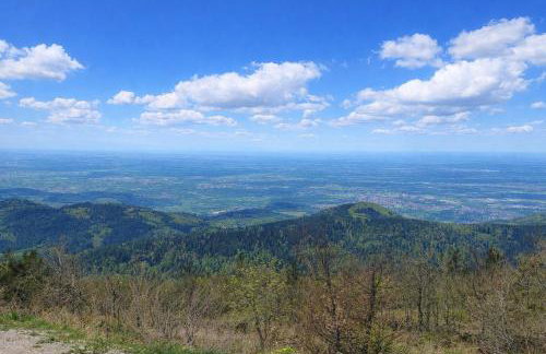 Ferienwohnung Tannenballett mit Panorama über den Schwarzwald in Baiersbronn - Foto 23