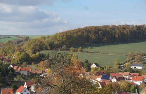 Die drei Haselnüsse - Foto 13