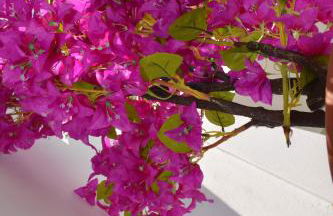 The Priest's Traditional House Kalithies - Foto 4