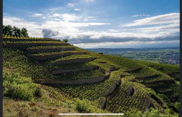Le Pavillon de l'Hermitage - Spa ouvert d'Avril à Octobre - Foto 3