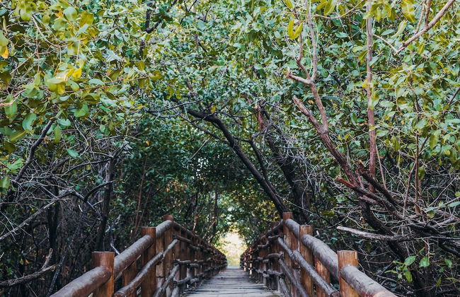 Lindos Apartamentos em Milagres - Foto 80