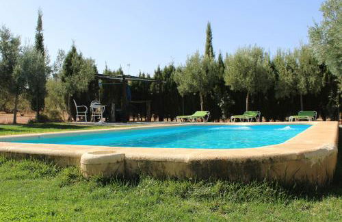 Casas Rurales el Palomar - Foto 12