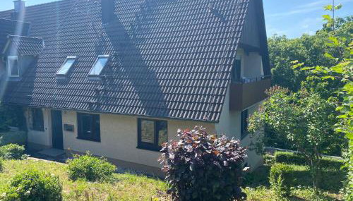 Schonungen 07 - Apartment für Firmen - Foto 2, Garden, Garden view