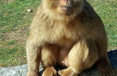 Vivienda Rural La Mazuga - Foto 63