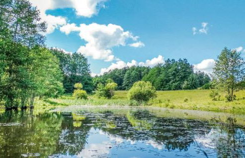 Four-Bedroom Holiday Home In Milakowo - Foto 46