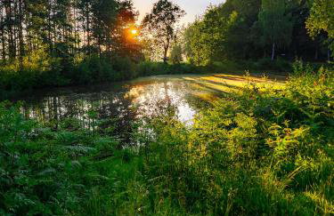 Poziomkowy Zakątek - Foto 34