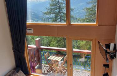 RESIDENCE LE RUITOR Duplex dernier étage vue panoramique classé 4 Cristaux Paradiski Piscine privée chauffée en ETE - Foto 76