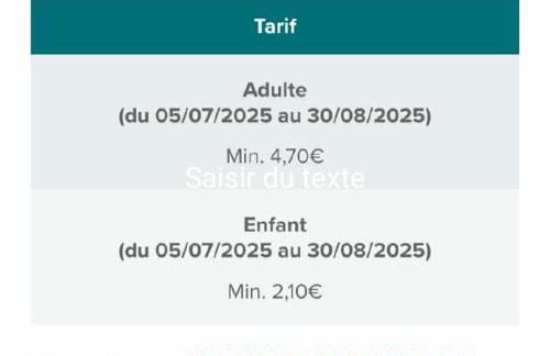 Ustou Guzet neige, appartement de 32 M2 avec balcon dans les Pyrénées aux pieds des pistes - Foto 25