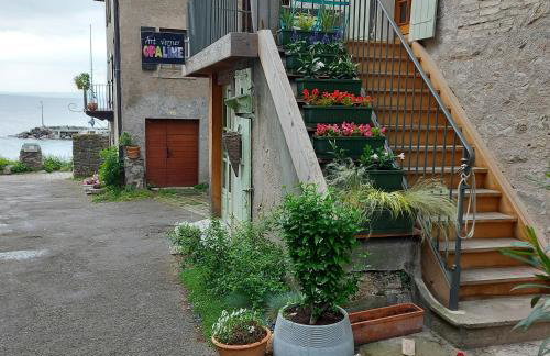 Opaline Yvoire Terrasse avec vue sur le Lac Léman - Foto 1