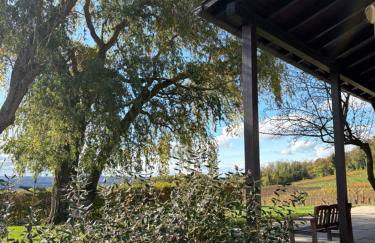 Ferienwohnung auf dem Weingut am Klotz - Foto 16