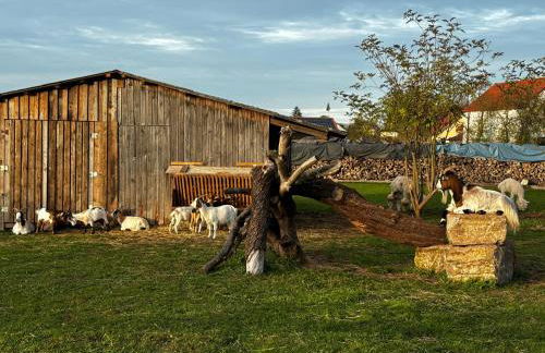 Ferienwohnung Peters - Photo 58