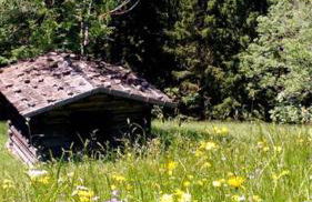 Ferienwohnungen Leiner - Foto 19