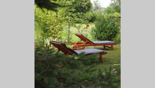 ČAROBNA ŠUMA ***(magic forest) - Foto 2