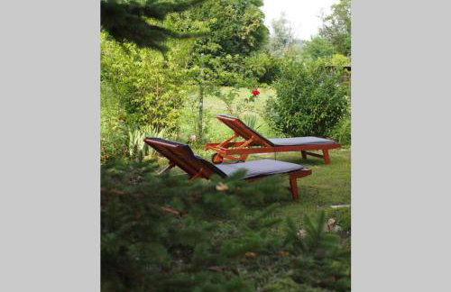 ČAROBNA ŠUMA ***(magic forest) - Foto 2