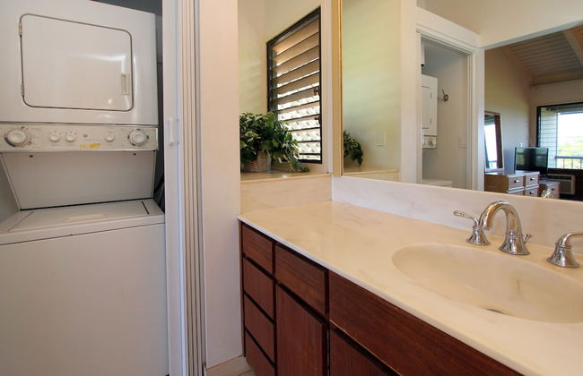 Wailea Ekolu - CoralTree Residence Collection - Photo 43