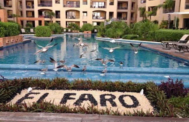 El Faro 403 SURF - Photo 29