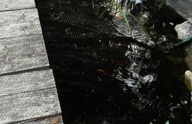 Ferienwohnung in Bad Rappenau - Foto 41