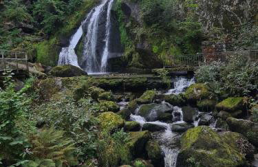 Ferienwohnung Paula - Foto 31