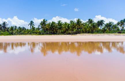 Vila Arandis apartamento Jardim, Península de Maraú Bahia - Foto 10