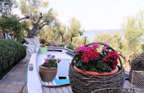 Apartmani Klaudija - Foto 55