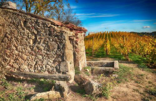 Condrieu et parking voiture vélo 2 ème étage - Foto 49