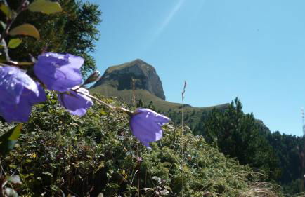 Résidence Les Ecrins - Foto 19