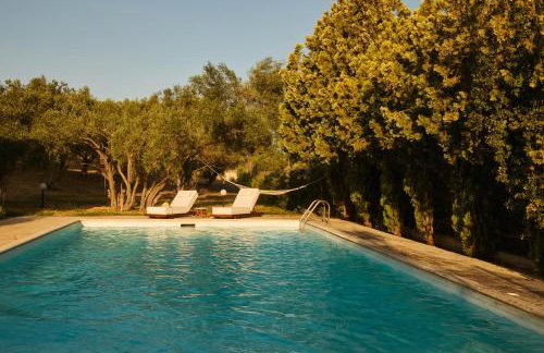 Olive Retreat - Photo 38