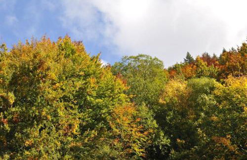 Ferienwohnung Schog - Foto 28