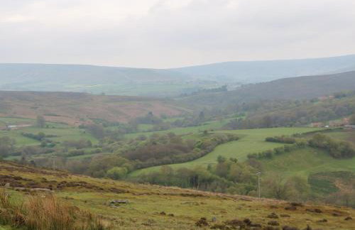 Plum Tree Cottage - Photo 23