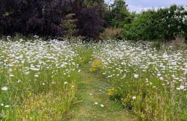 The Old Stable at Manor House, Middleton - Foto 23