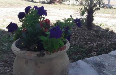 Il Tremolar Della Marina - Foto 36