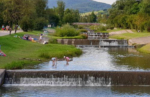 Willa VITA Muszyna - rodzinne apartamenty blisko natury i atrakcji - 15min pieszo do centrum - 15min autem do stoku - Foto 18