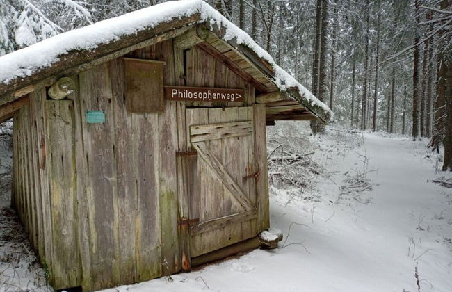 Pine Cones in the Haslehaus - Foto 30