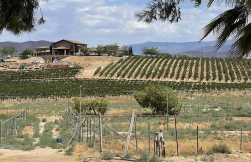 Temecula Rejuvenation - Foto 20