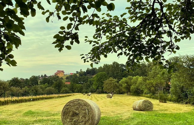 Vino Chalets - Foto 37