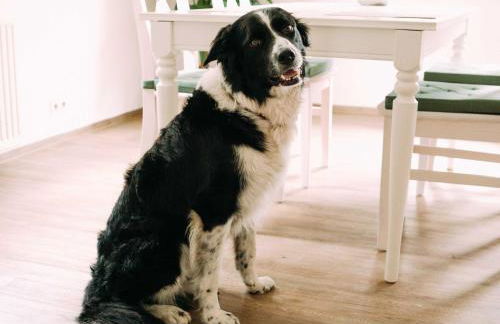 Ferienwohnung Worpsweder Schlösschen - Foto 34