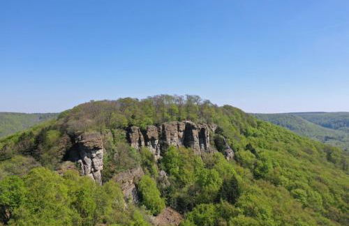 Romantic Wooden Lodge,Sauna,Schwimmteich,alleinstehend,absolut ruhig - Foto 23