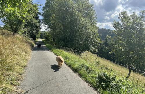 Romantikchalet Neuastenberg/Winterberg - Foto 38