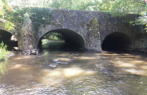 Le Moulin de Vaugien - Foto 46