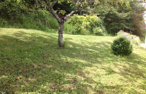 Au Coeur des Châteaux - Foto 21