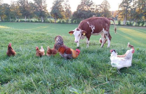 Ferienwohnung Oberlinner - Foto 17