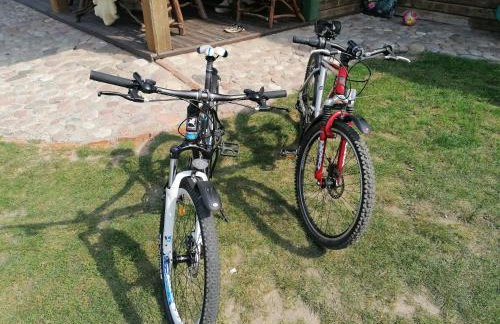 Mazurska Knieja - Foto 16