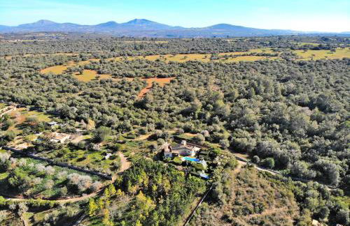 250 Finca Can Xisco Domatiga ETV905 by Mallorca Charme - Foto 29